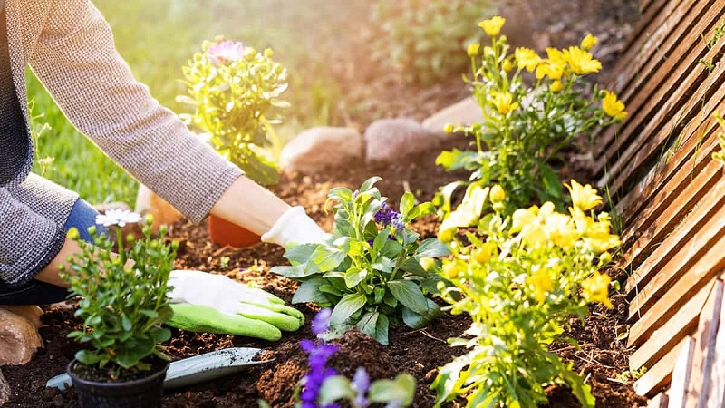 ngày lập xuân 2023