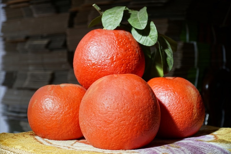 Giá trị của bưởi da đỏ hiện nay rất cao