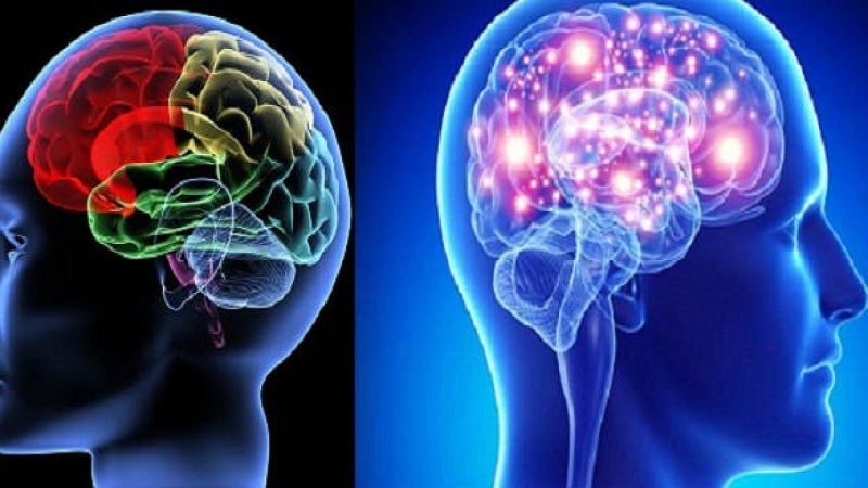 Não rất dễ bị tổn thương