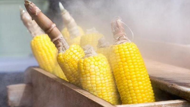 luộc bắp bao nhiêu phút