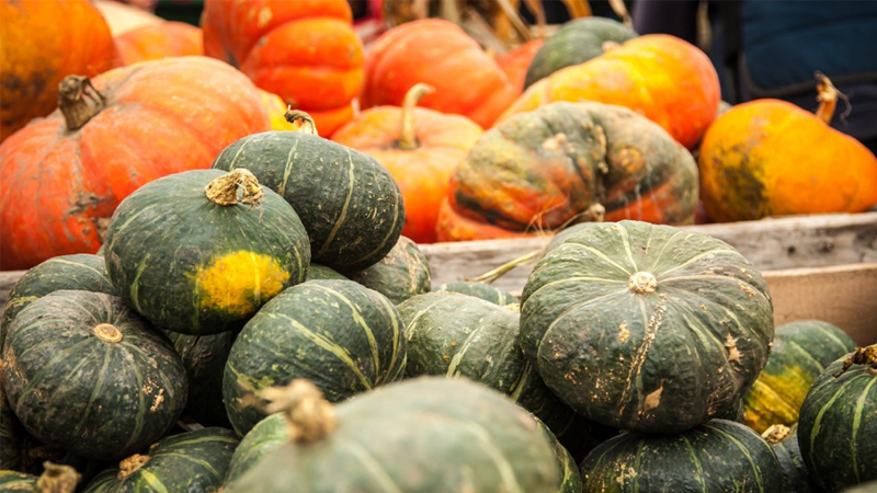 Bí đỏ là loại quả nhiều chất dinh dưỡng