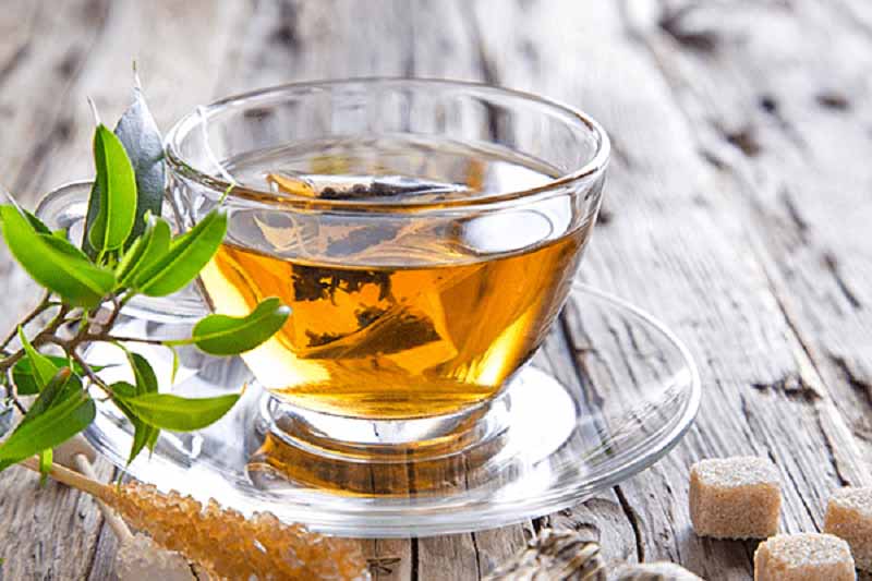 trà Atiso túi lọc