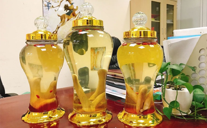 Nhung hươu ngâm rượu