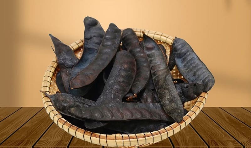 Quả bồ kết và nhiều bộ phận khác đều có thể dùng làm thuốc