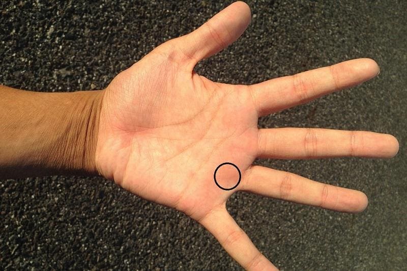 Sở hữu Gò Địa dày và vân nhiều sẽ có cuộc sống thăng hoa