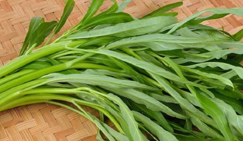 Cây rau muống rất tốt cho người bị táo bón, khó tiêu