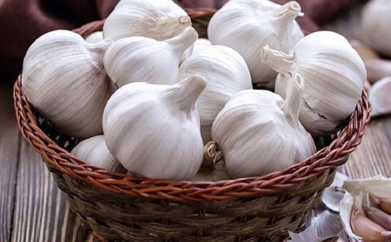 Ăn củ tỏi giúp cải thiện tình trạng đau xương khớp