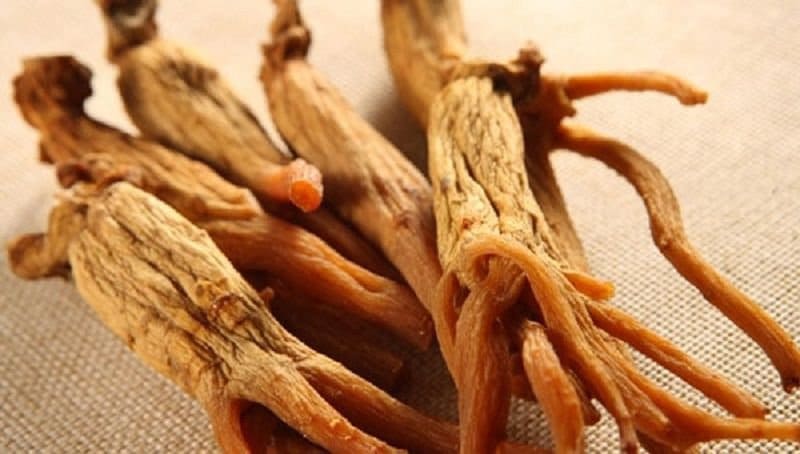 Rất tốt cho sự cân bằng của não bộ