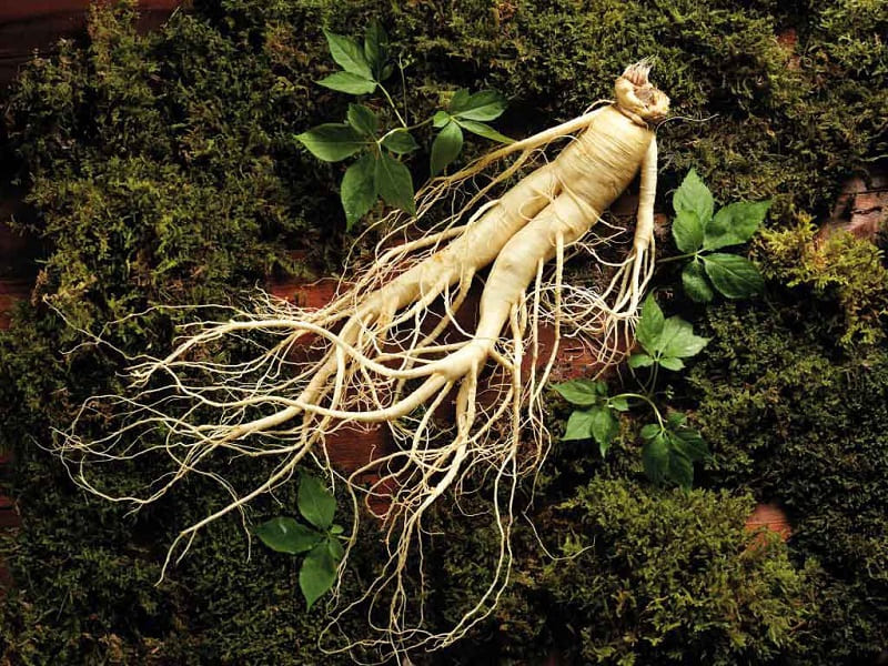 Luôn được xem là thiên địch của ung thư