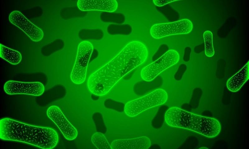 Những lưu ý giúp tăng sức khỏe cơ thể, đặc biệt là âm đạo